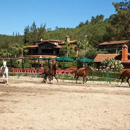 Hotel Berke Ranch&nature 3*